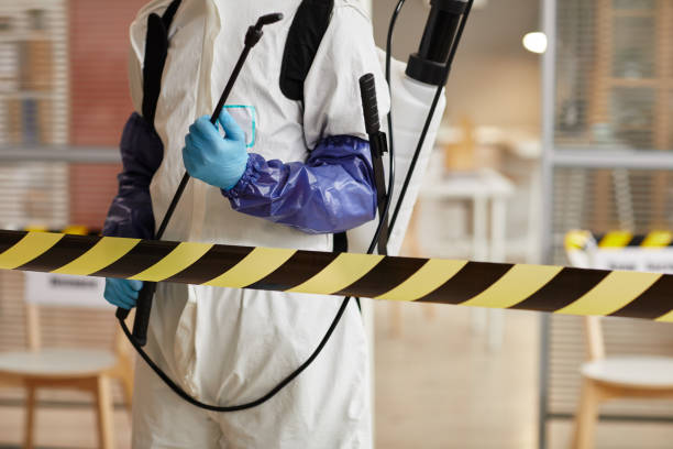Professional Odor Removal technician working in Dedham, MA